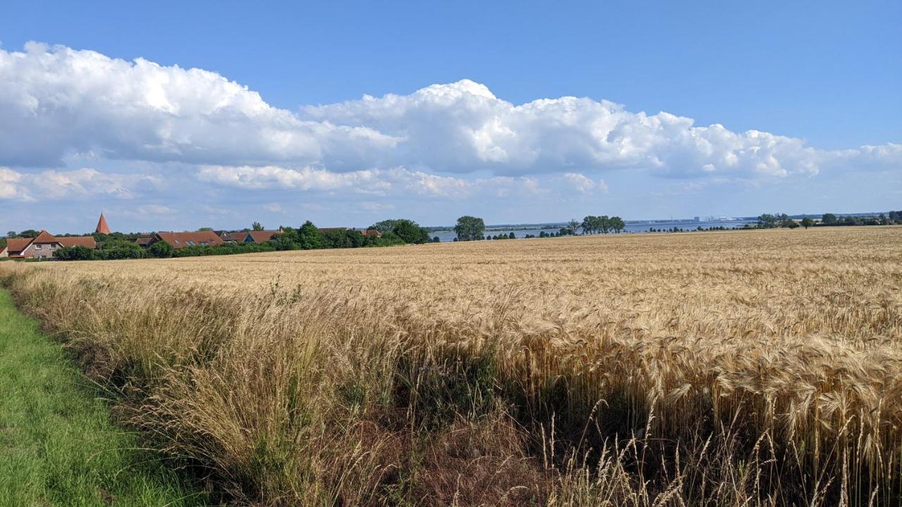 Ferien Auf Der Insel Poel Apartment Kirchdorf  Luaran gambar